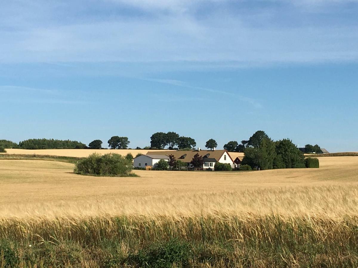Stallet Pa Skarby Ystad Luaran gambar